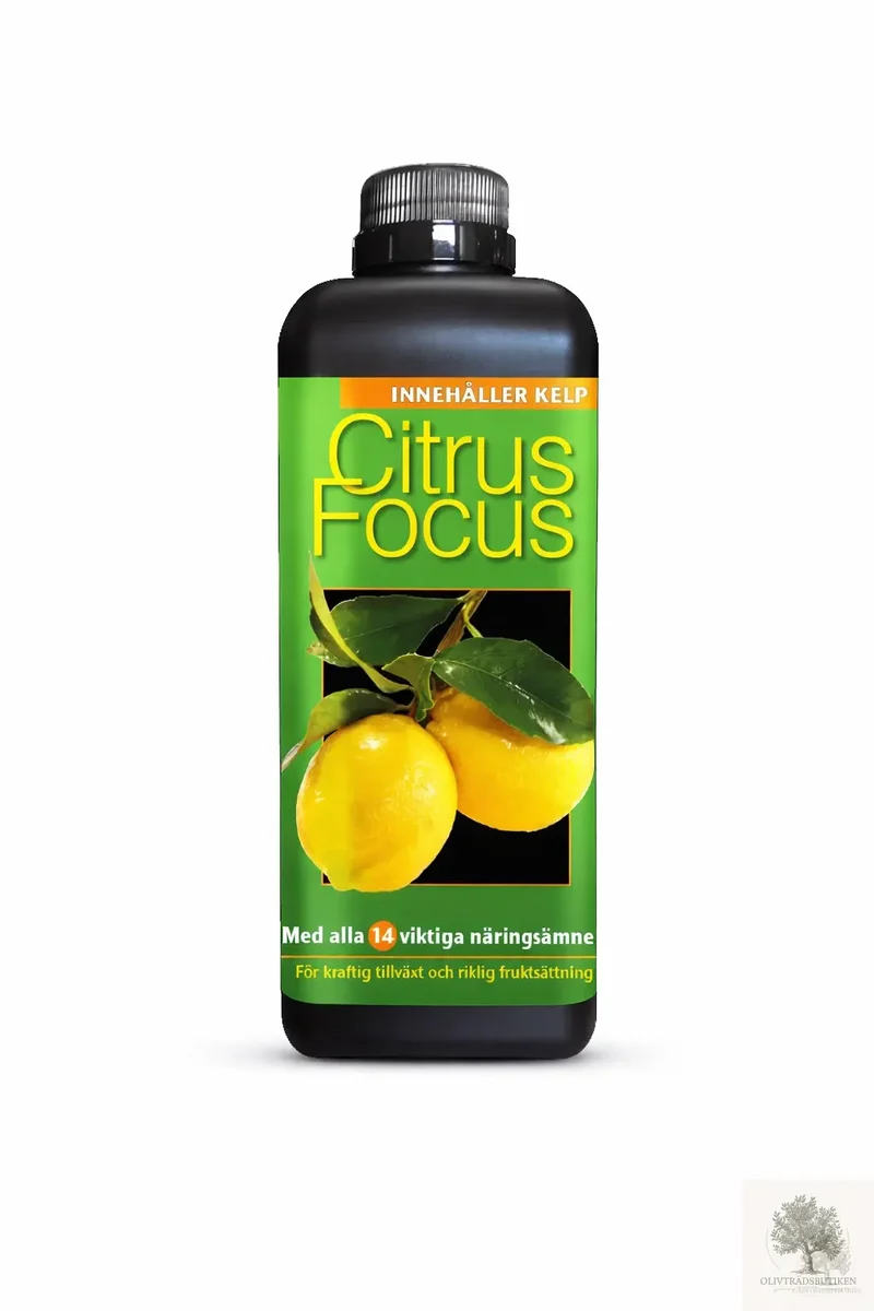 Citrusnäring - Citrus focus