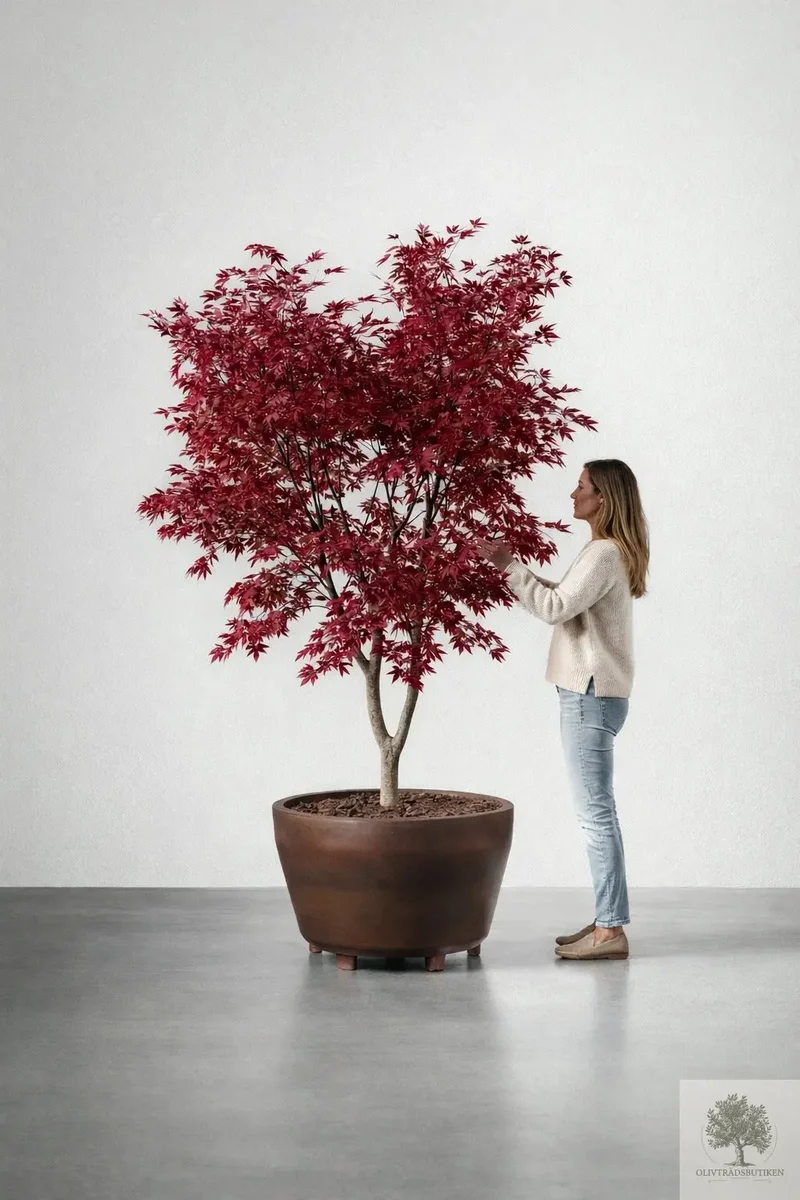 Planterat och klart i Emmaljunga Rhododendronjord, sur jord och Pinjebark Medium