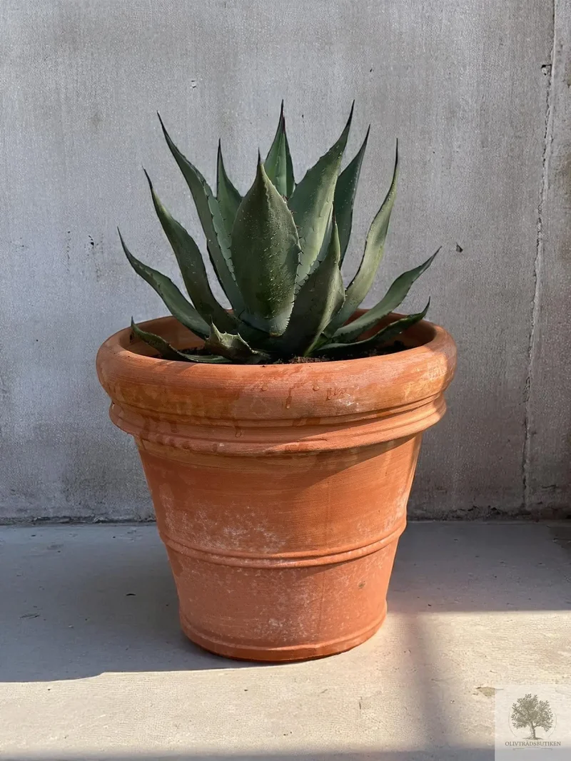 Terrakottakruka - Toscana - 40 cm diameter - 35 cm höjd