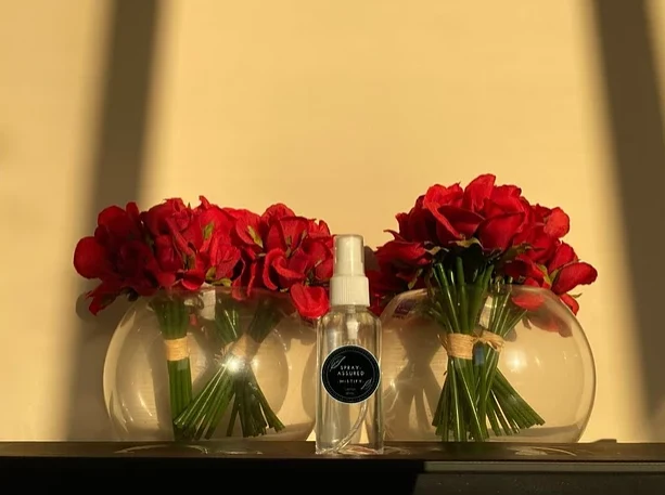 Spray Assured - Premium 2-in-1 Air Freshener and Sanitary Spray BULK DEAL