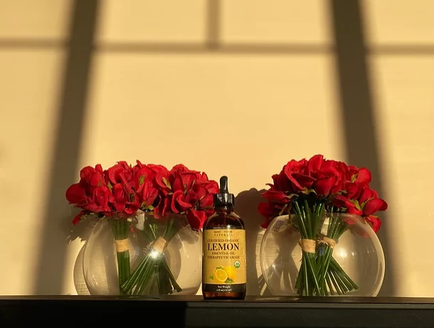 Spray-Assured - Premium 2-in-1 Air Freshener and Sanitary Spray