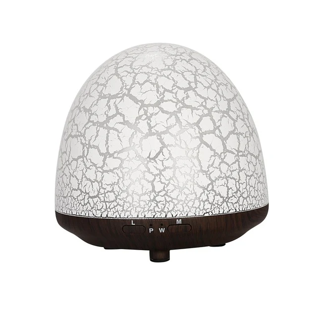 100ml Humidifier