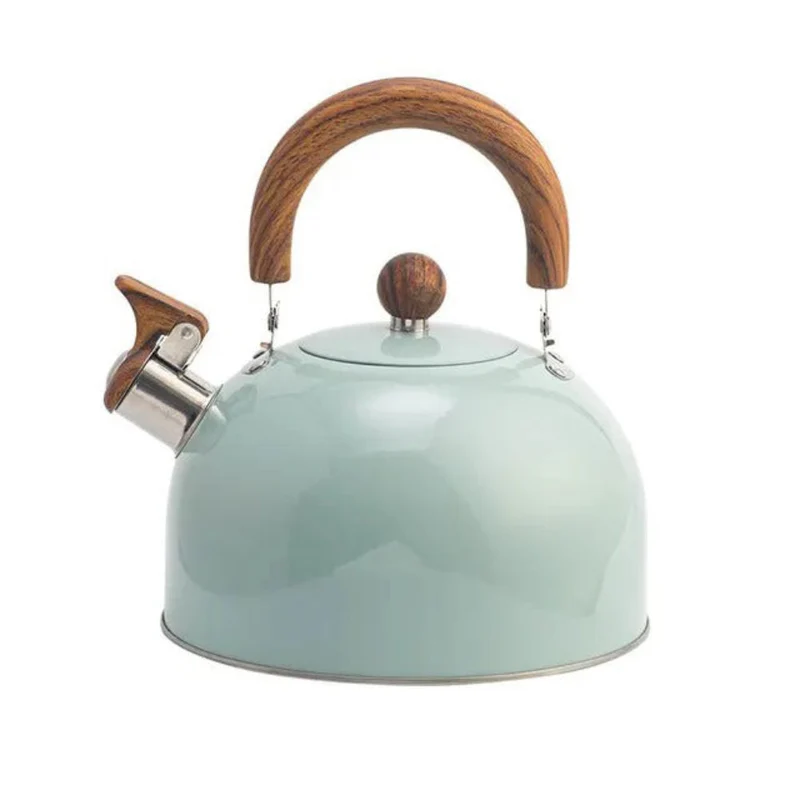 Modern Steel Kettle with Whistle Wooden Handle and Large Capacity