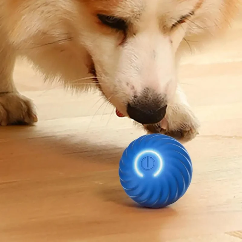 Automatisk Interaktivt Legetøj til Hunde - RolliPlay