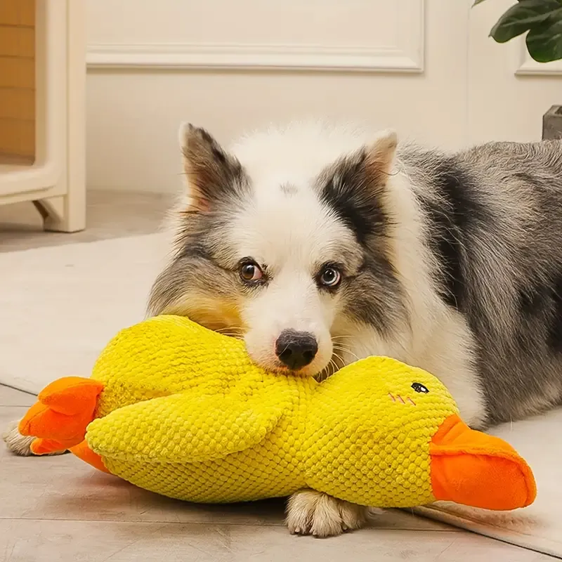 Interaktiv Hundelegetøj med Lyd og Tandpleje - FlappyDuck