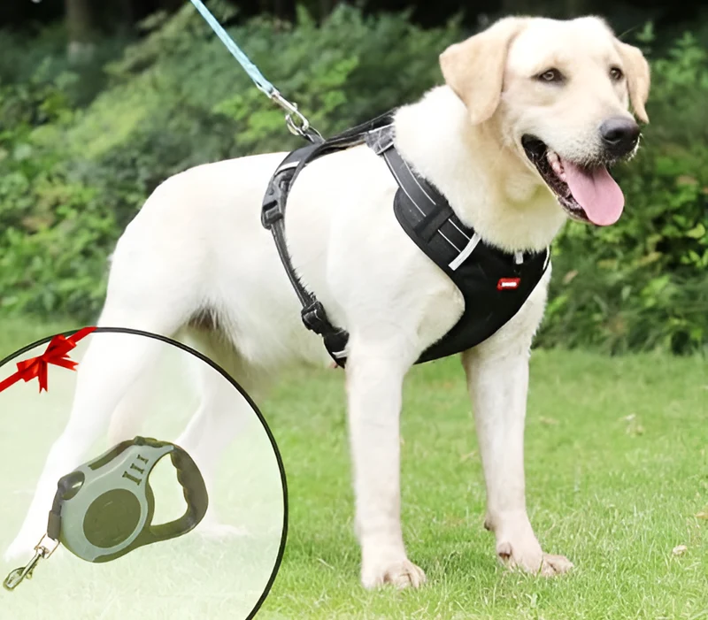 Anti-Træk Seler til Hunde - Flexibel Pasform