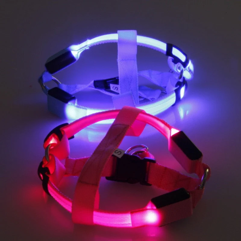 Hundesele med LED-lys - Glow & Go