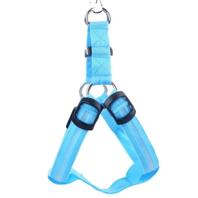 Hundesele med LED-lys - Glow & Go