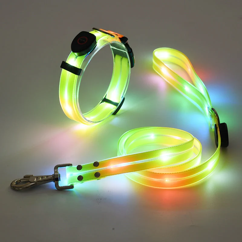 Hundehalsbånd med LED lys og snor - NightBright