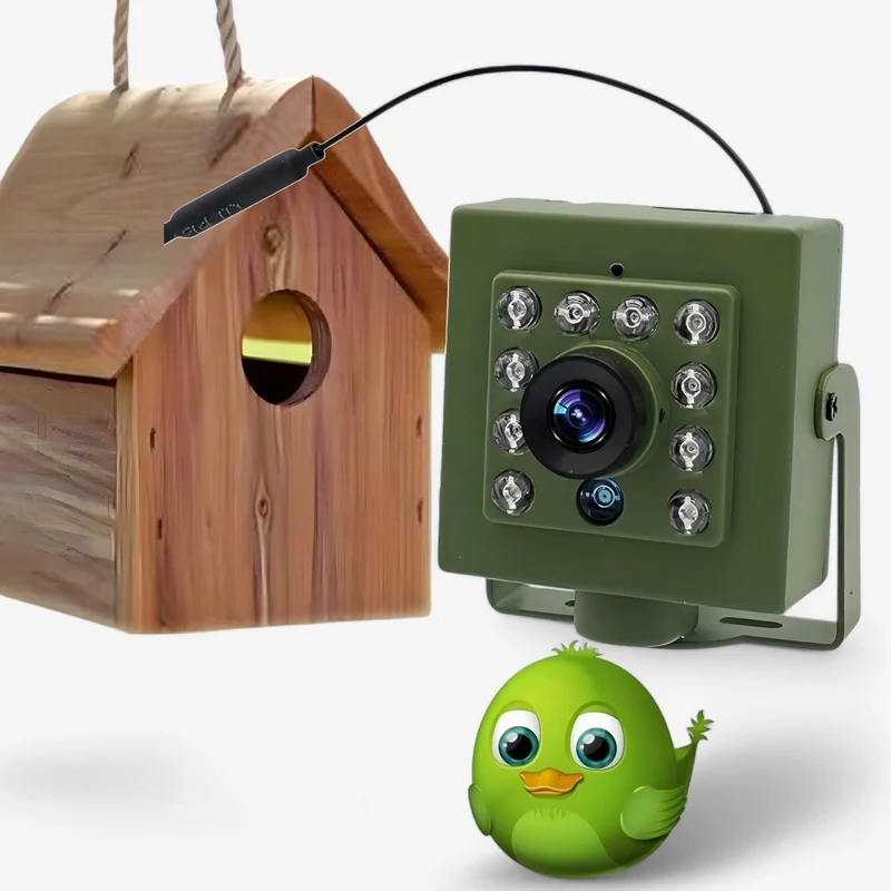 WLAN Kamera – 1080p HD, vejrbestandig til fugleobservation