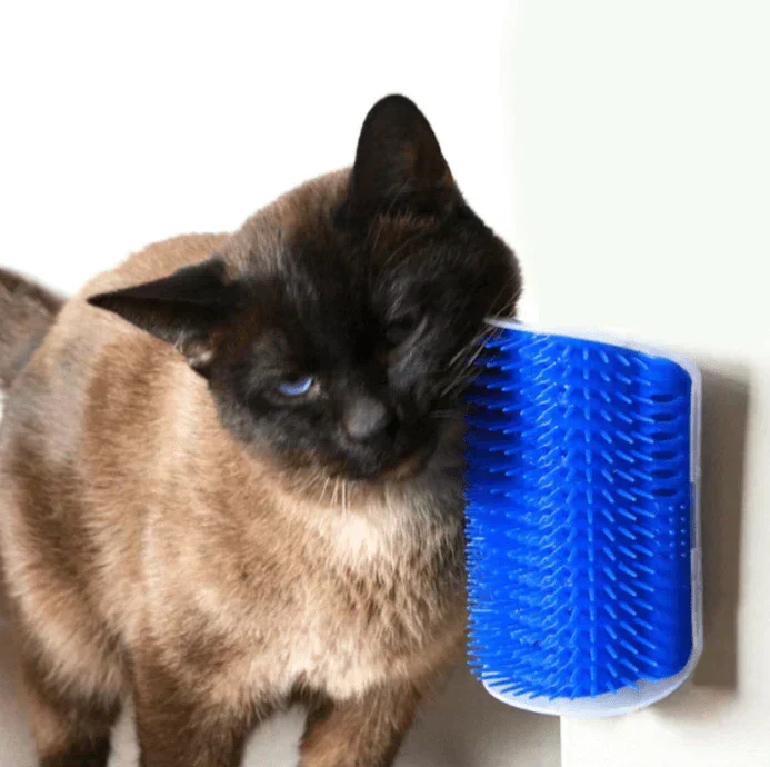 Selvpleje Børste til Katte - KløeKram
