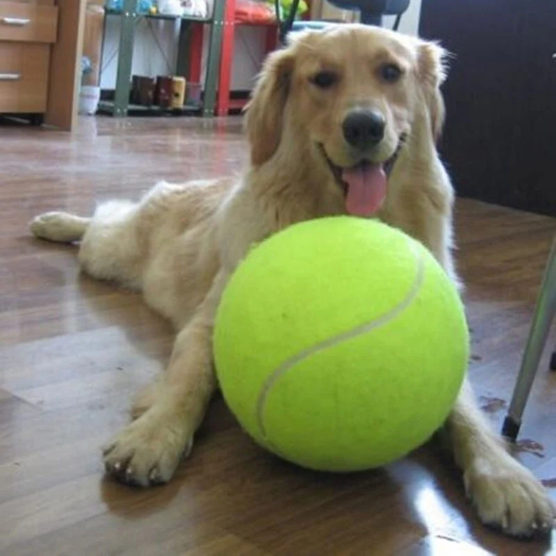 XL Tennisbold til hunde (24 cm) - GiantFetch