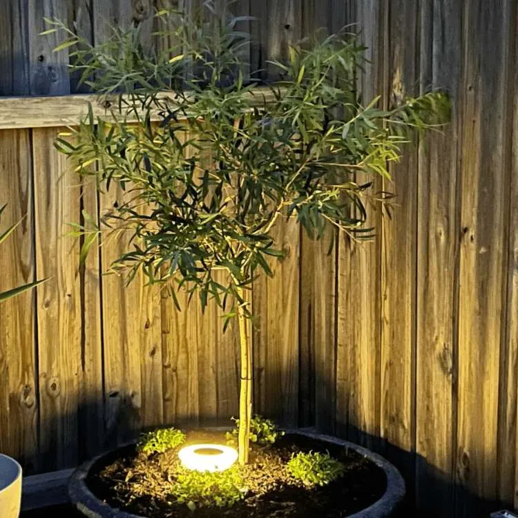 Solcelle Gadelys – Vejrbestandig & Nem Installation