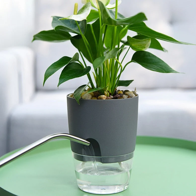 Selvvandende Blomsterkrukke – HydrationPro