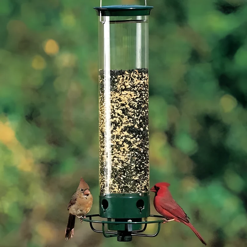 Robust Foderautomat til Fugle med Squirrel-Sikring