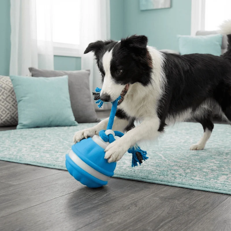 Interaktiv Hundelegetøj Med Bevægelsessensor og Trækreb