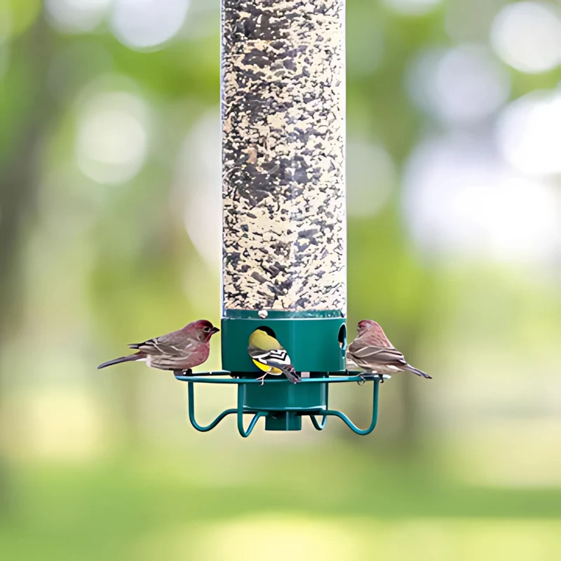 Sikker Fuglefoderautomat med Squirrel-Proof Design