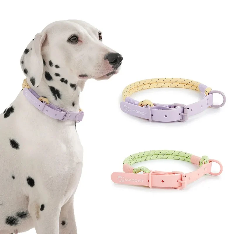 Stilfuldt og Vandtæt Hundehalsbånd med Bonbon Design