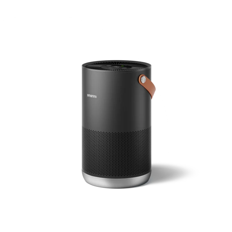 Air Purifier P1