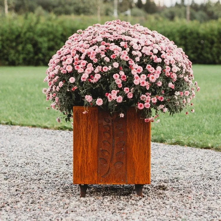 GrillSymbol Fat Ballerina Blomkrukor i Cortenstål